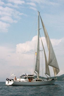 Lisheen Lady