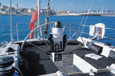 Black Shark of St Peter