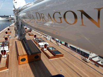 Sea Dragon