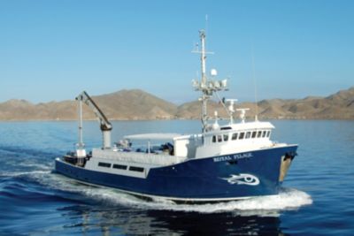 Royal Pelagic