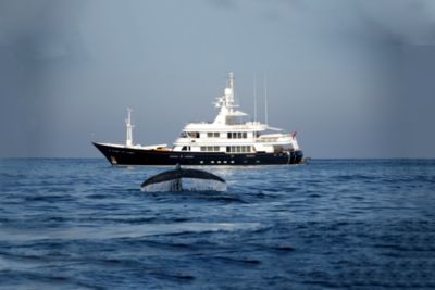 Superyachts - Boat International