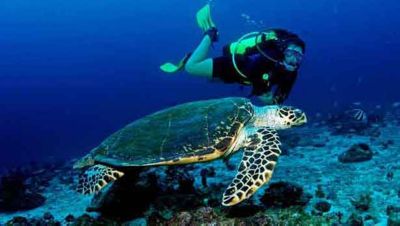 Authentic attractions in the Seychelles for yacht charterers