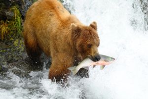 Alaska: