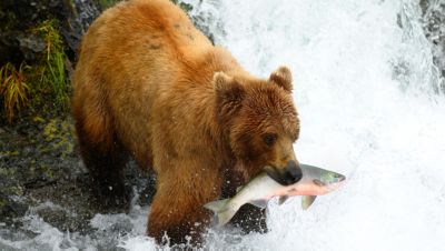 Alaska