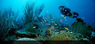 Superyacht features -Caribbean