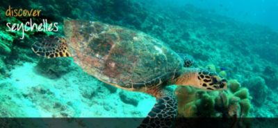 Discover The Seychelles