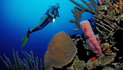 Exploring the French Caribbean via megayacht