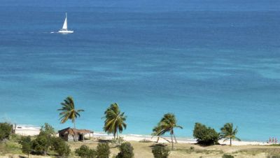 Tintamarre