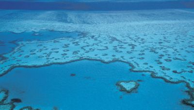 heart-reef