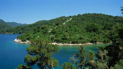 Mljet island