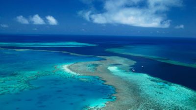 Hamilton Island reef