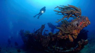 Diving