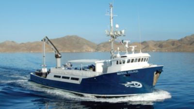 Royal Pelagic yacht for sale