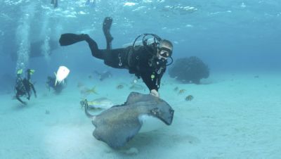 Stringray City, Grand Cayman