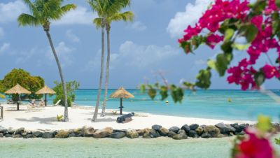 A typical Caribbean beach in Martinique