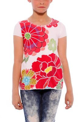 T-shirts and Shirts Desigual Aster