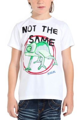 T-shirts & Shirts Desigual Chortis