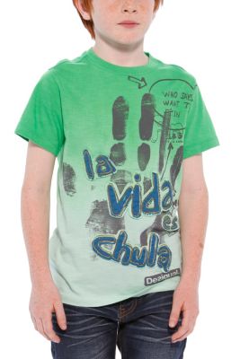 T-shirts & Camisas Desigual Achomawi