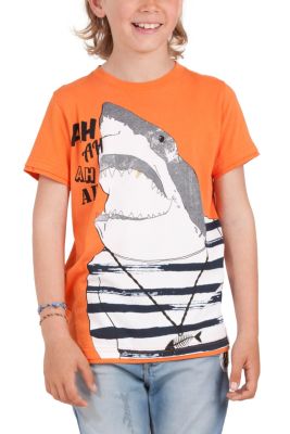 T-shirts & Shirts Desigual Patuk
