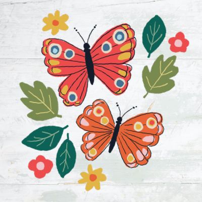 illustration of butterflies