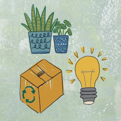 illustration of plants, a box and a light bulb