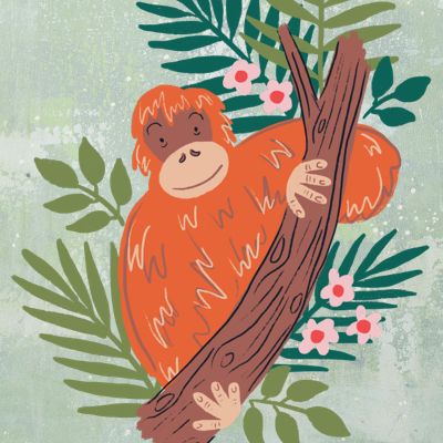 illustration of an orangutan